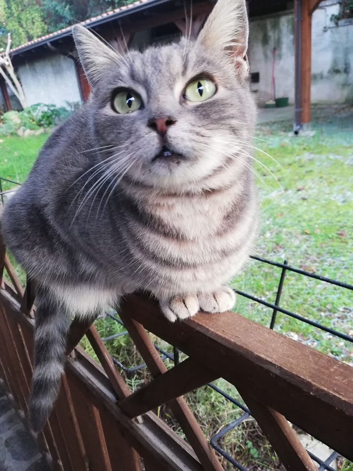 La soluzione può&nbsp;attendere!