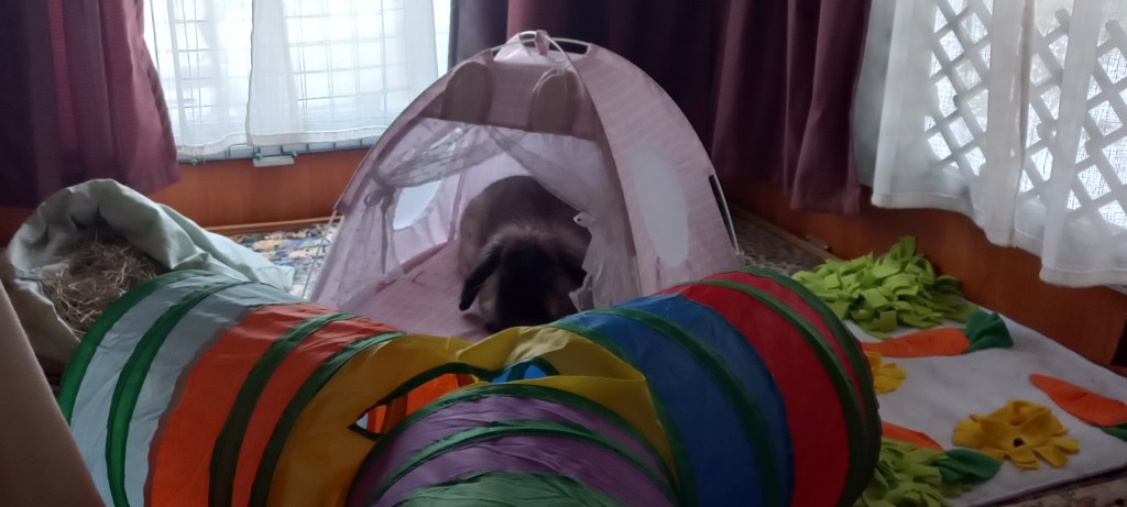 Aiuto Mamy, non sto bene! Spero che mi portino nello stesso ospedale dove sei tu, così potrò riabbracciarti! (parte&nbsp;1)