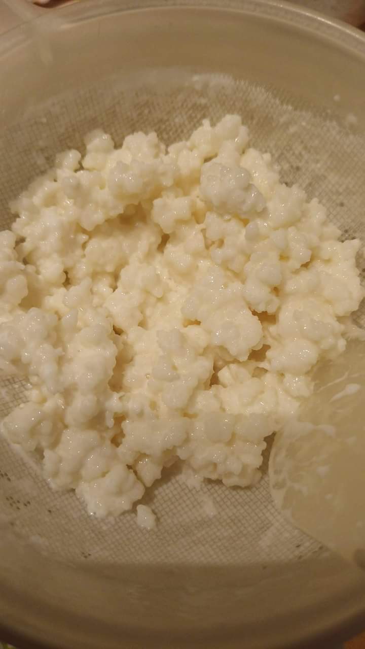 Kefir, un viaggio nel benessere del probiotico e dell’amicizia