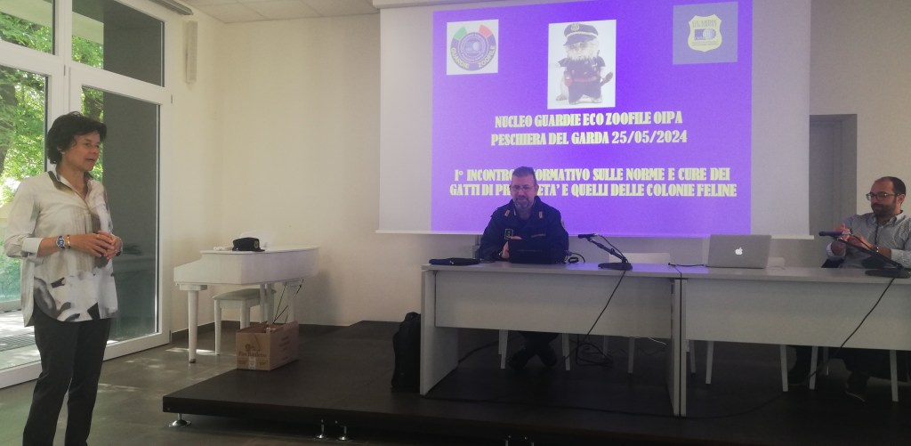 Gatti e gattare-coadiuvanti. A Peschiera un incontro informativo per chi si occupa delle colonie&nbsp;feline