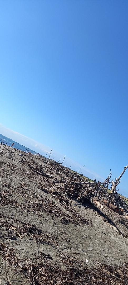 Al mare in laguna, quando tramandare l’attività turistica di famiglia diventa&nbsp;un’arte