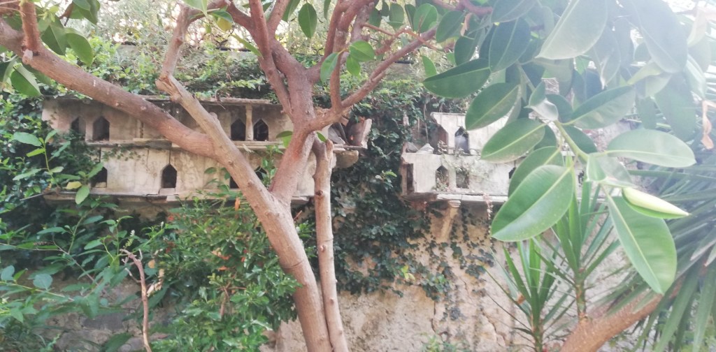 Quando un gabbiano, in un mattino di sole, suona il ritmo tribale nel mio giardino sanremese, che fu di Italo&nbsp;Calvino