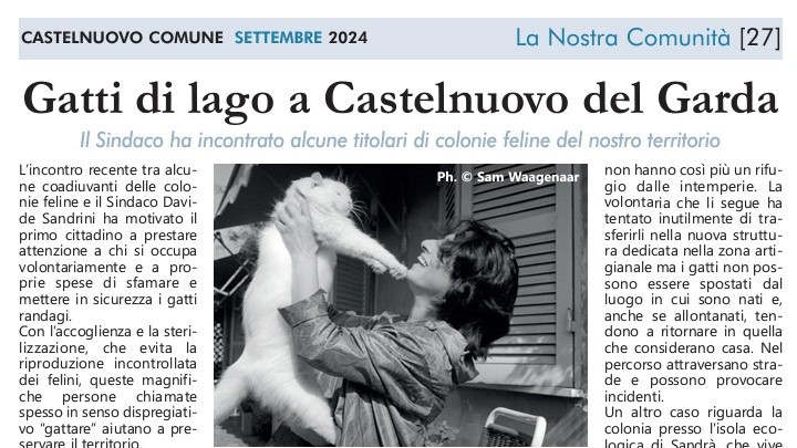 L’Accademia Ars Artis ospite sul Notiziario di Castelnuovo con la rubrica “Gatti di&nbsp;lago”