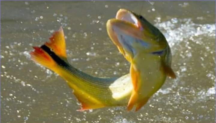 ACQUA – Rìo Paranà, il fiume che sembra un&nbsp;mare