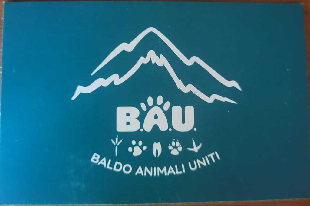 La presidente dell’Associazione BAU, Cristina Dandello, annuncia un esposto contro la decisione dell’amministrazione di Bussolengo per lo spostamento della colonia felina di via Marconi nel nuovo recinto di via San&nbsp;Rocco