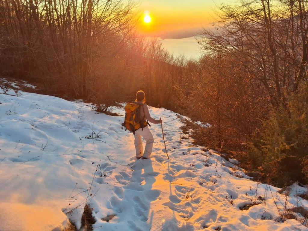 La neve e i suoi&nbsp;segreti