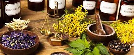 PROMEMORIA PER I CORSISTI SCRITTORI. Vaso di Pandora, demoni della vita di gruppo e rimedi curativi naturali: gli argomenti degli ultimi&nbsp;incontri