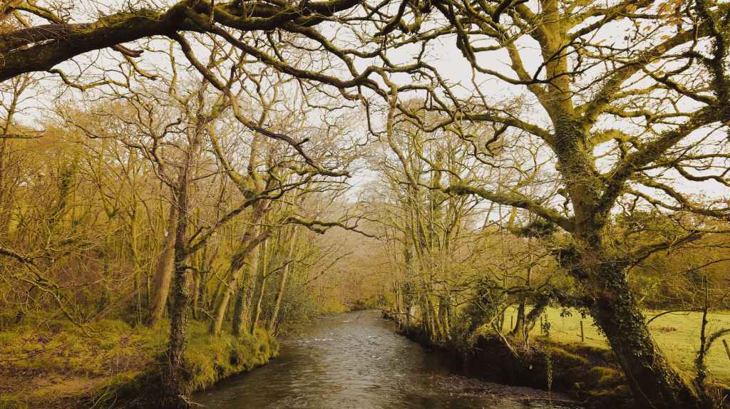 Ecologia, una lunga strada da percorrere in equilibrio tra uomo, animali, il mondo vegetale e il&nbsp;pianeta