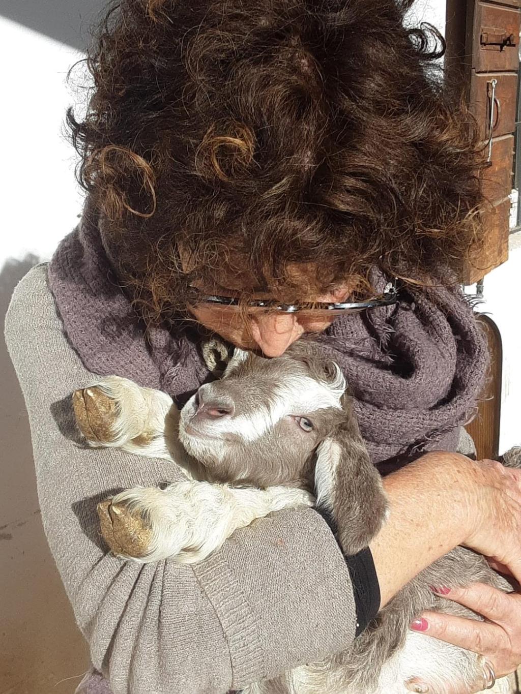 La nota: il belato della capra, tutt’altro che stupida, anzi, sensibile ed&nbsp;emotiva