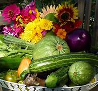 Alla bancarella del km 0. Frutta, verdura e pettegolezzi. Un rito&nbsp;quotidiano