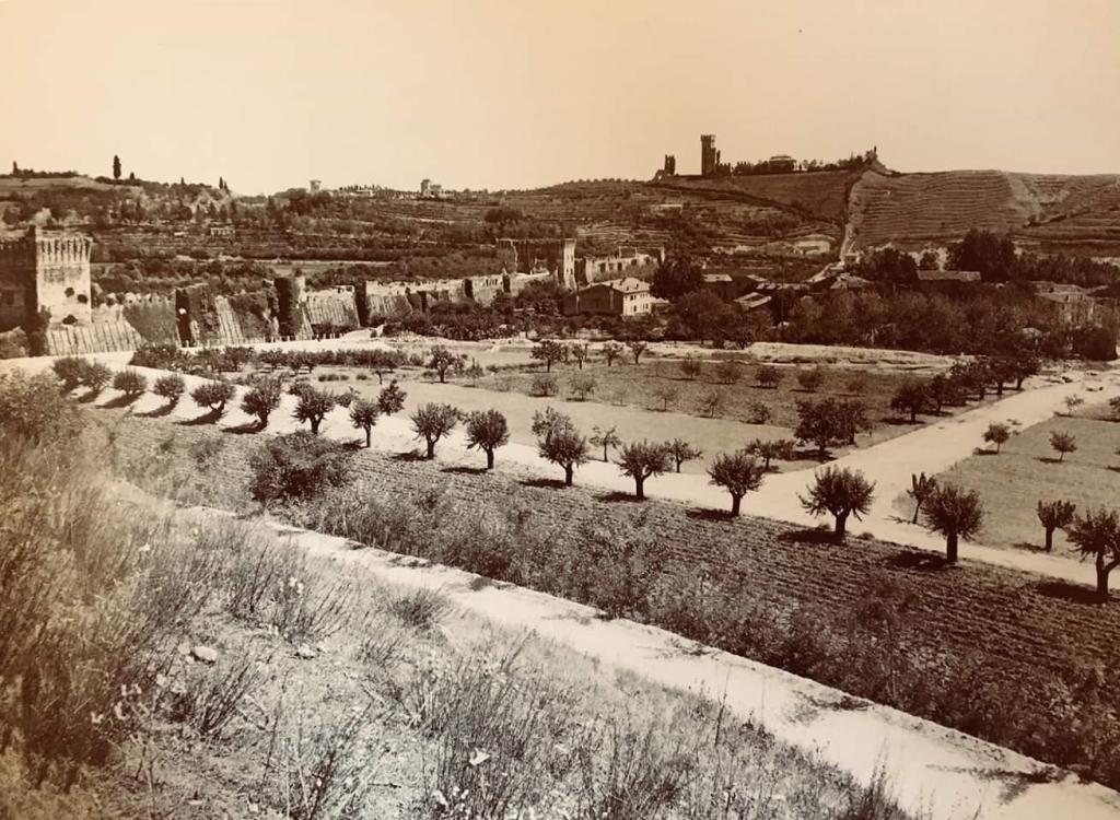 “Caaler” – Gelsi e bachi da&nbsp;seta