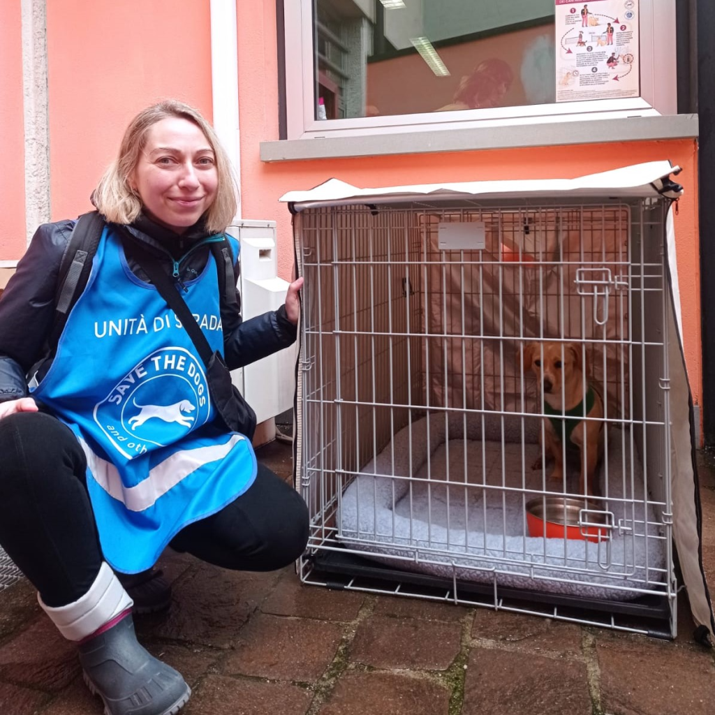 Welfare. Box per gli animali d’affezione nei servizi rivolte ai senza dimora, al via “Amici di strada, compagni di&nbsp;vita”