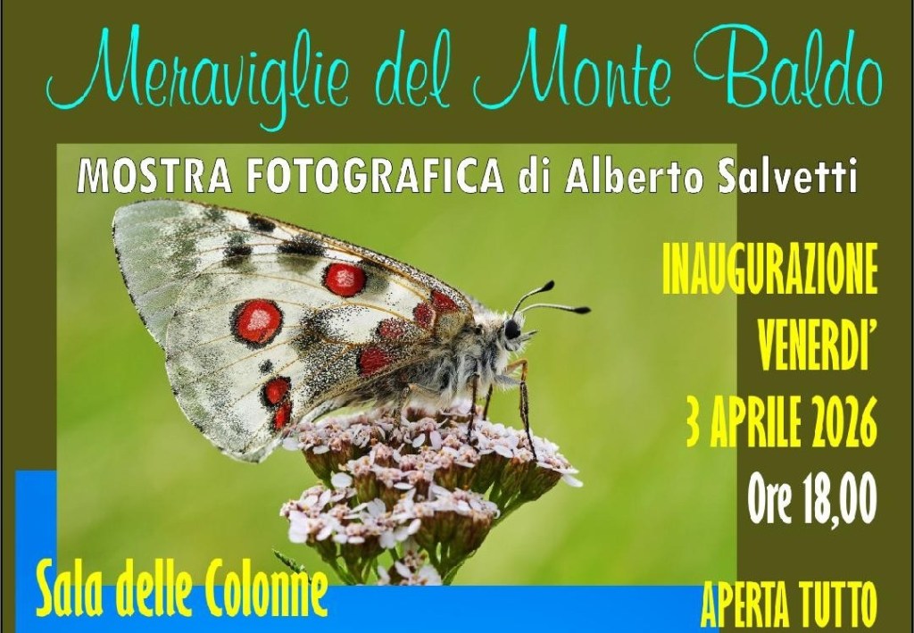 Le meraviglie del Monte Baldo a Ponti sul Mincio: una mostra di Alberto&nbsp;Salvetti